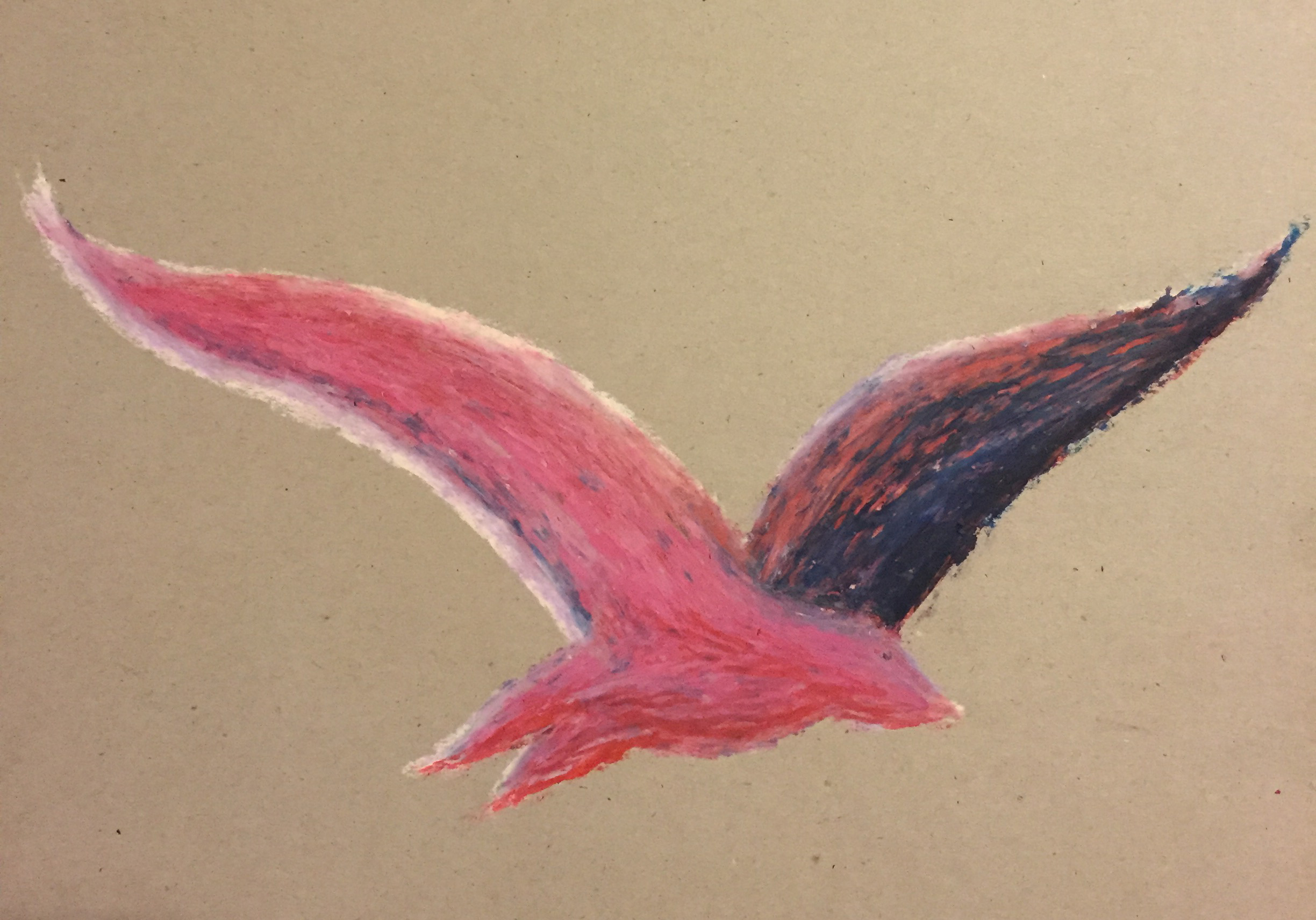 Pink bird.