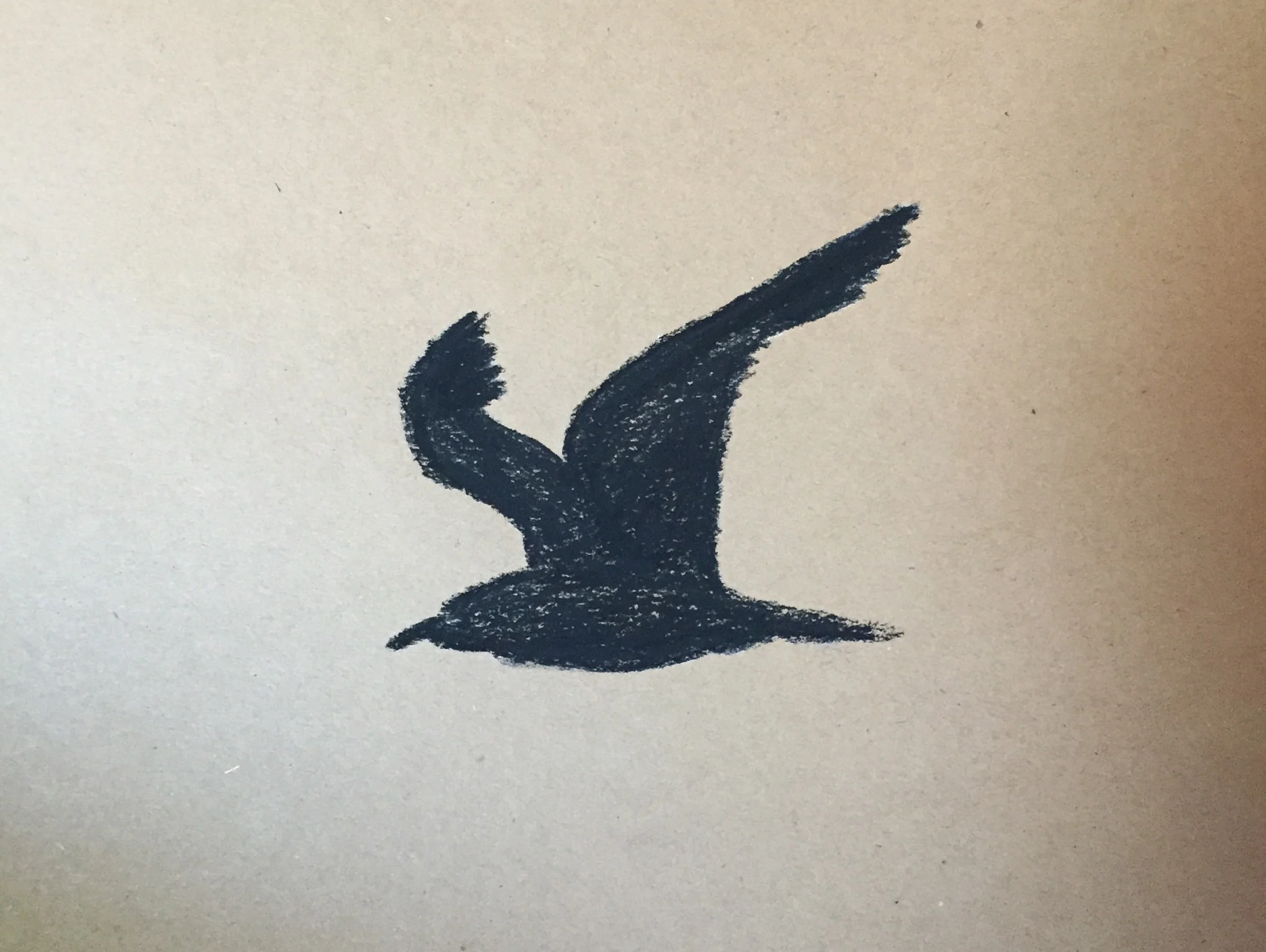 Black bird.