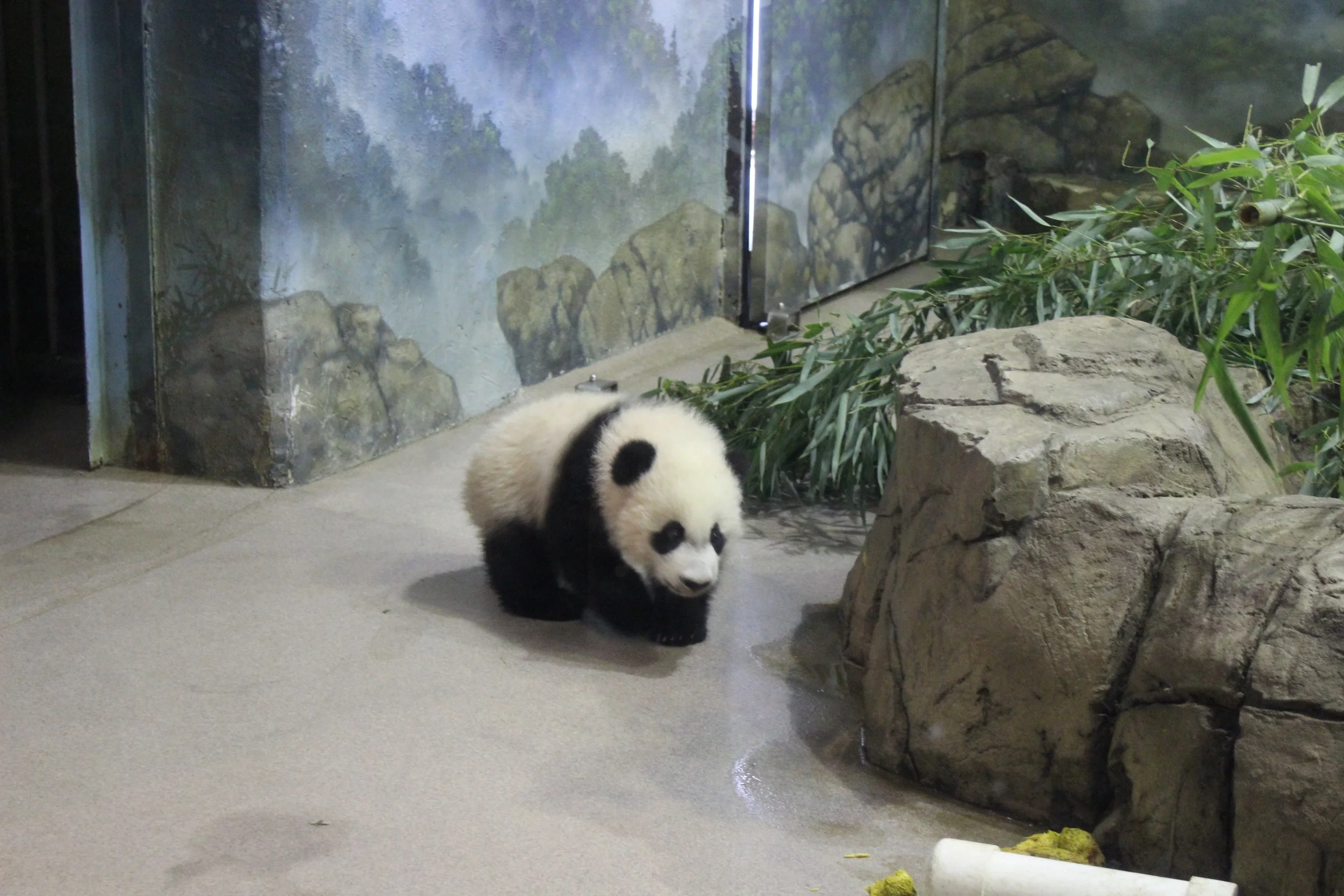Hey Bei Bei!