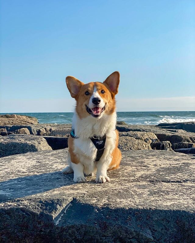 first time going to the beach in February...