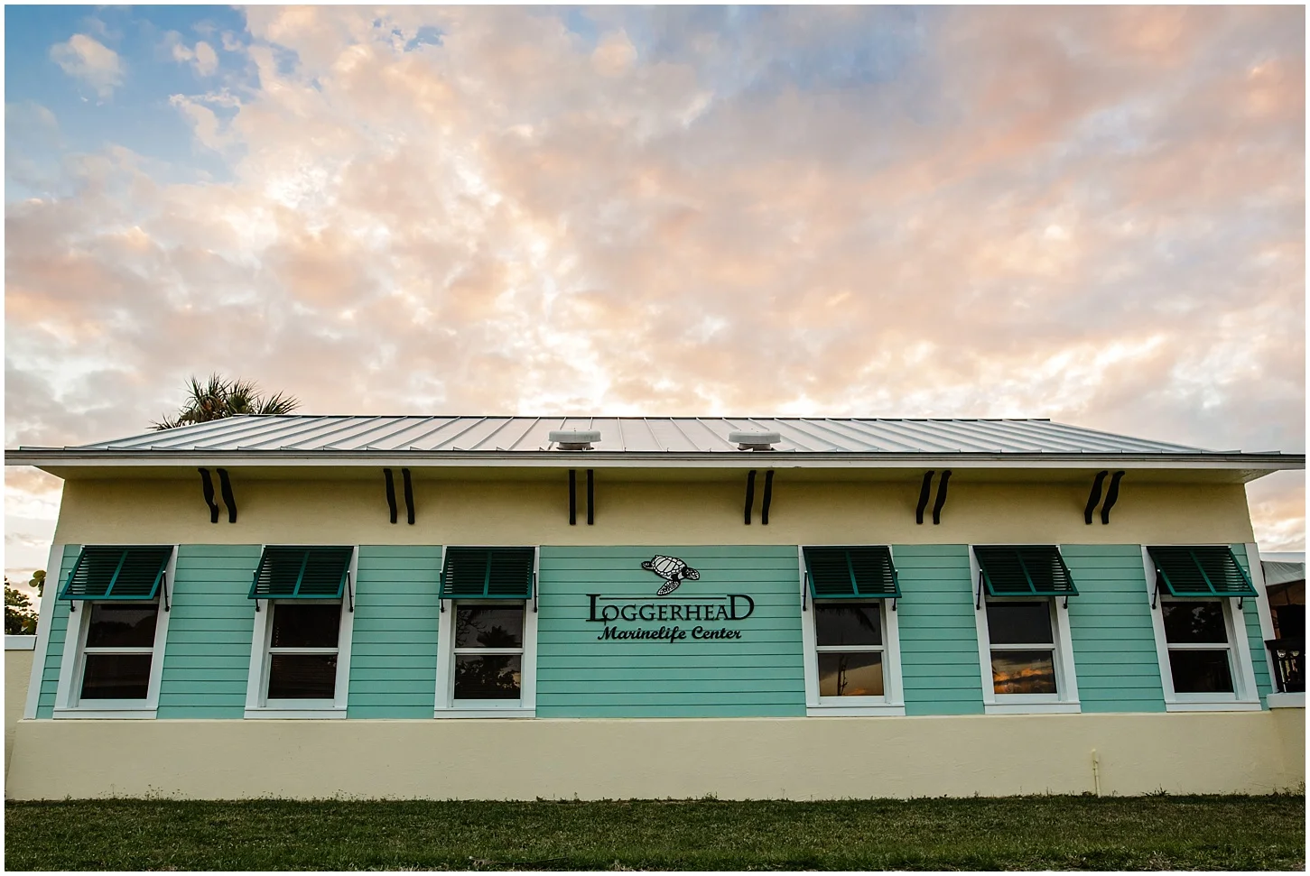 Loggerhead MarineLife Center