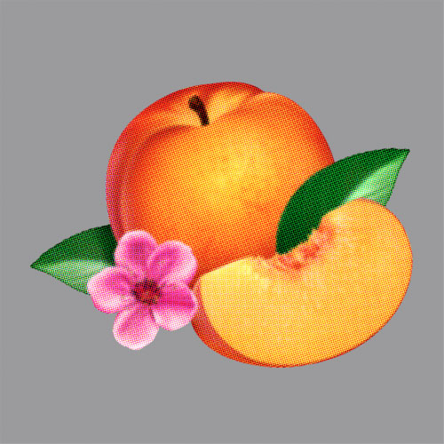 phoenix-bankrupt.jpeg