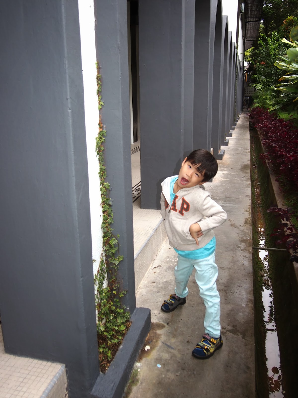 P1013227.JPG