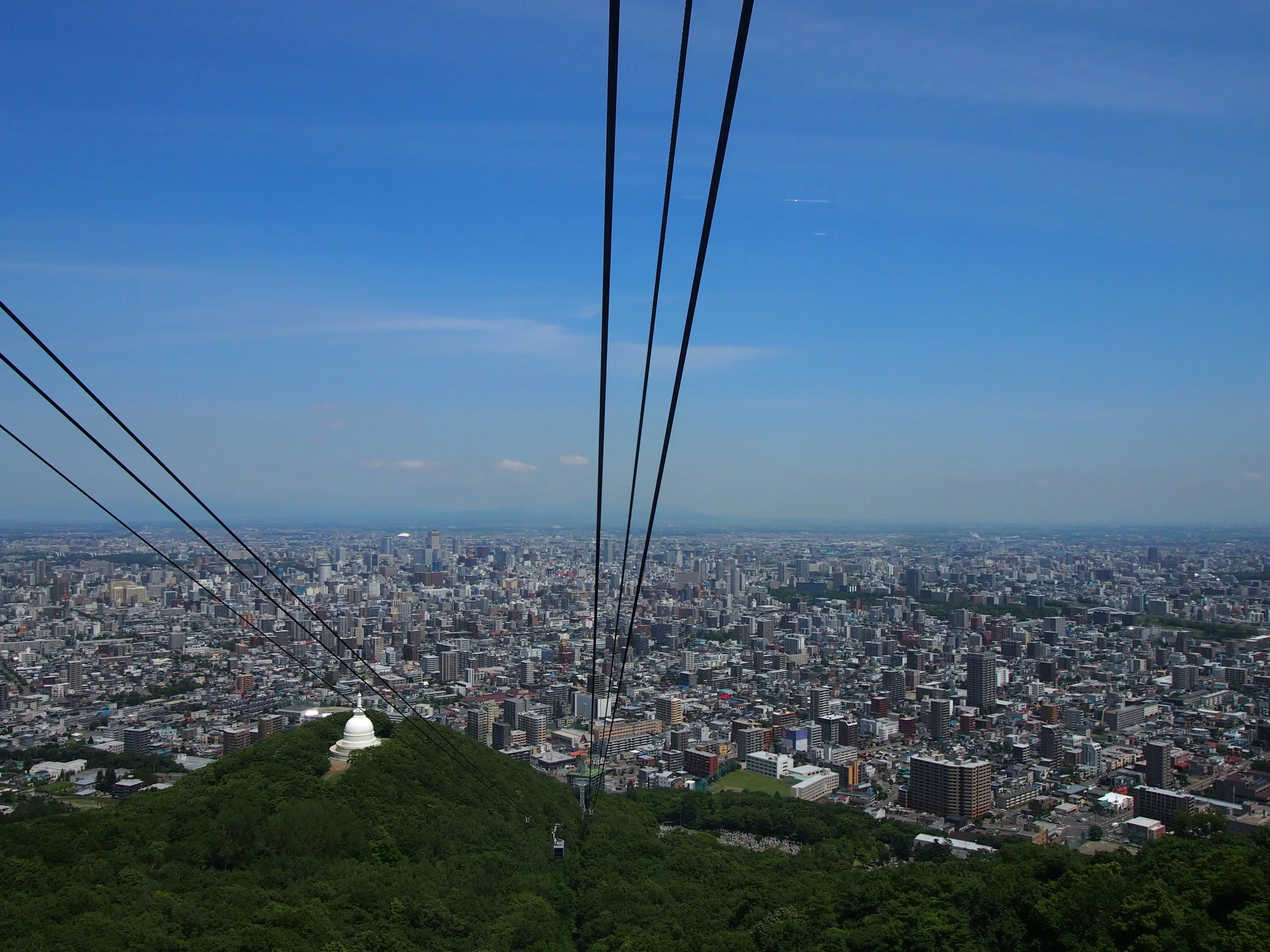 P1019426.jpg