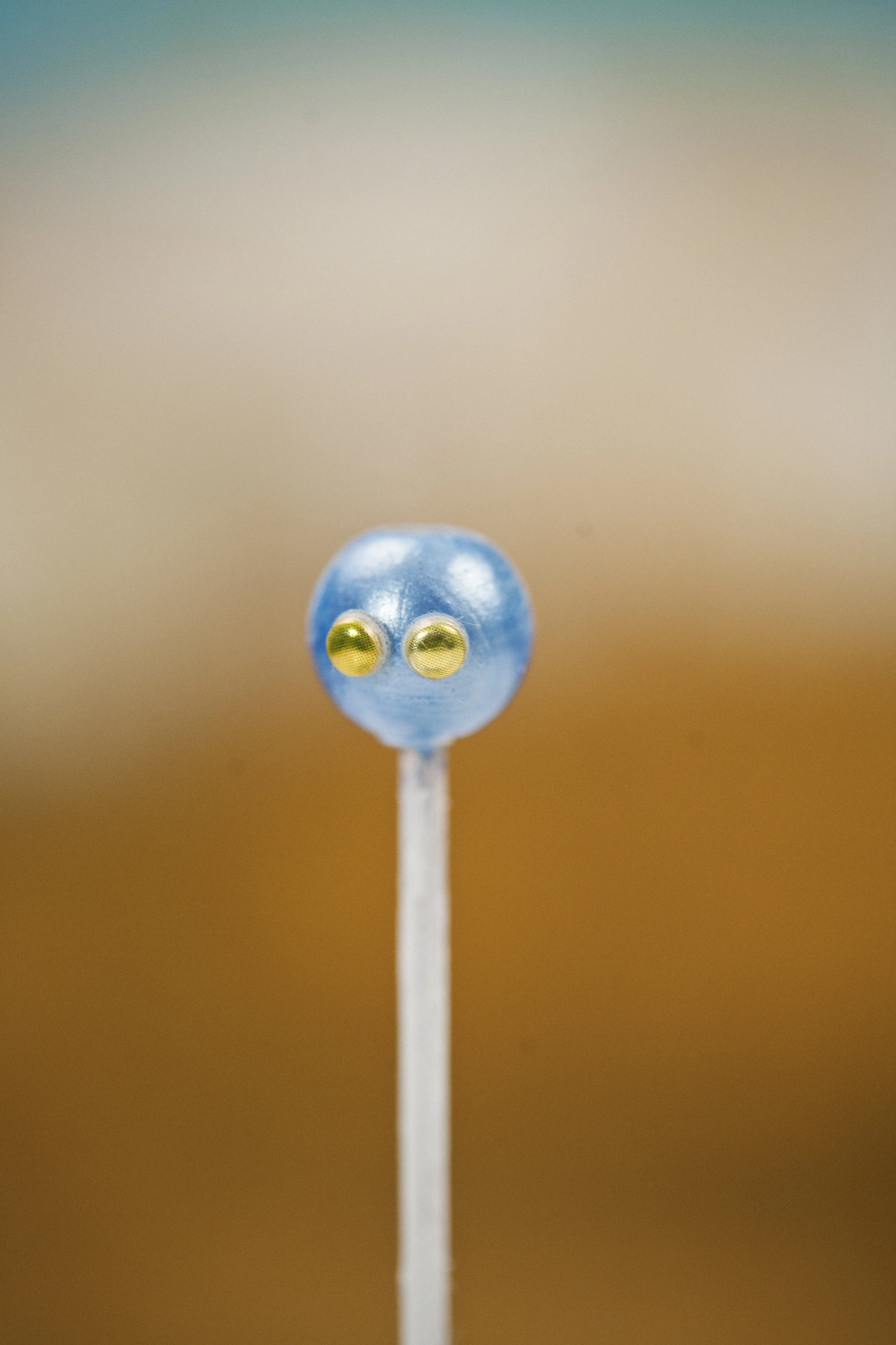 zobots2012182.jpg