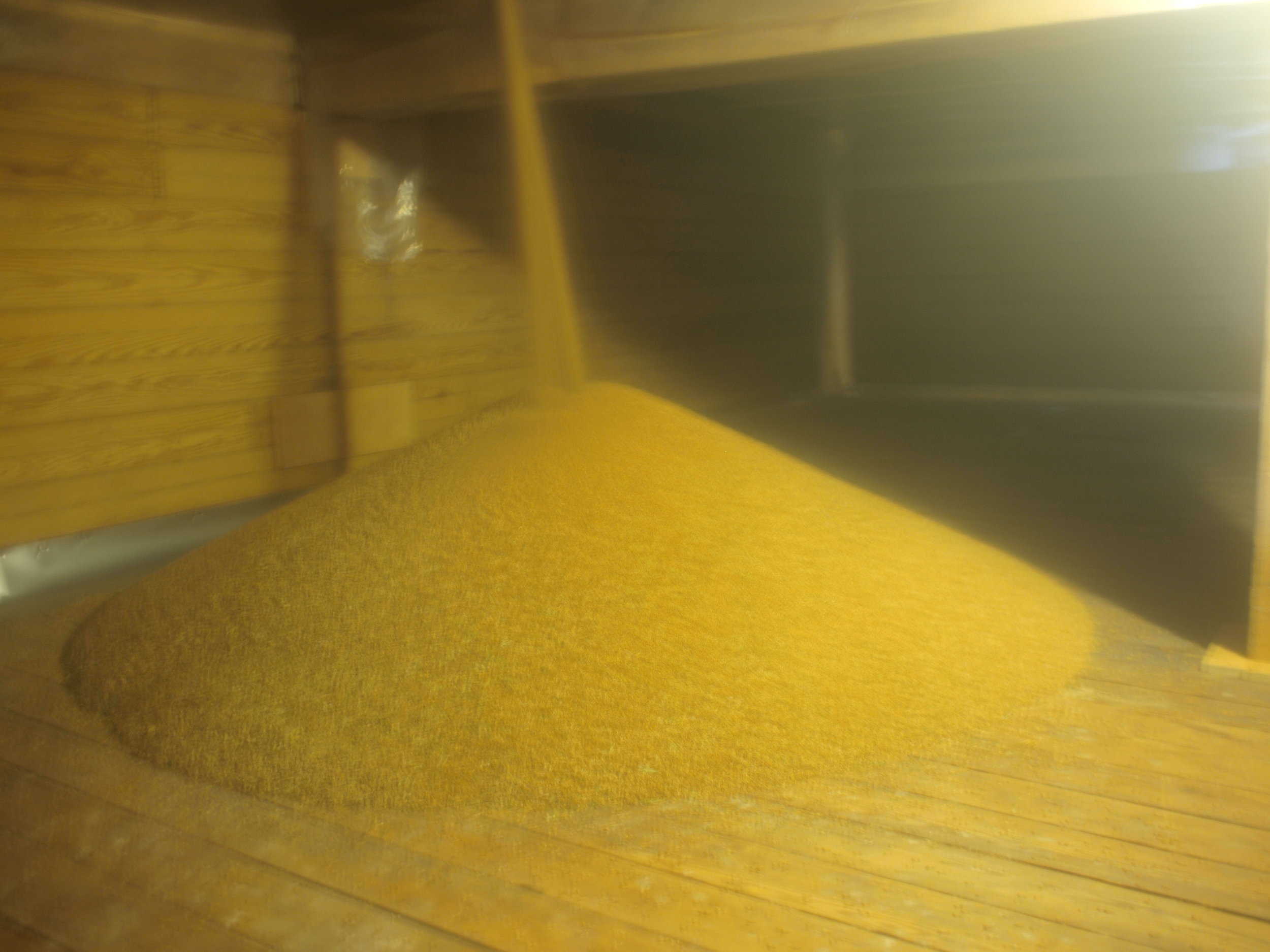 grain into storage lucky dog farm.JPG