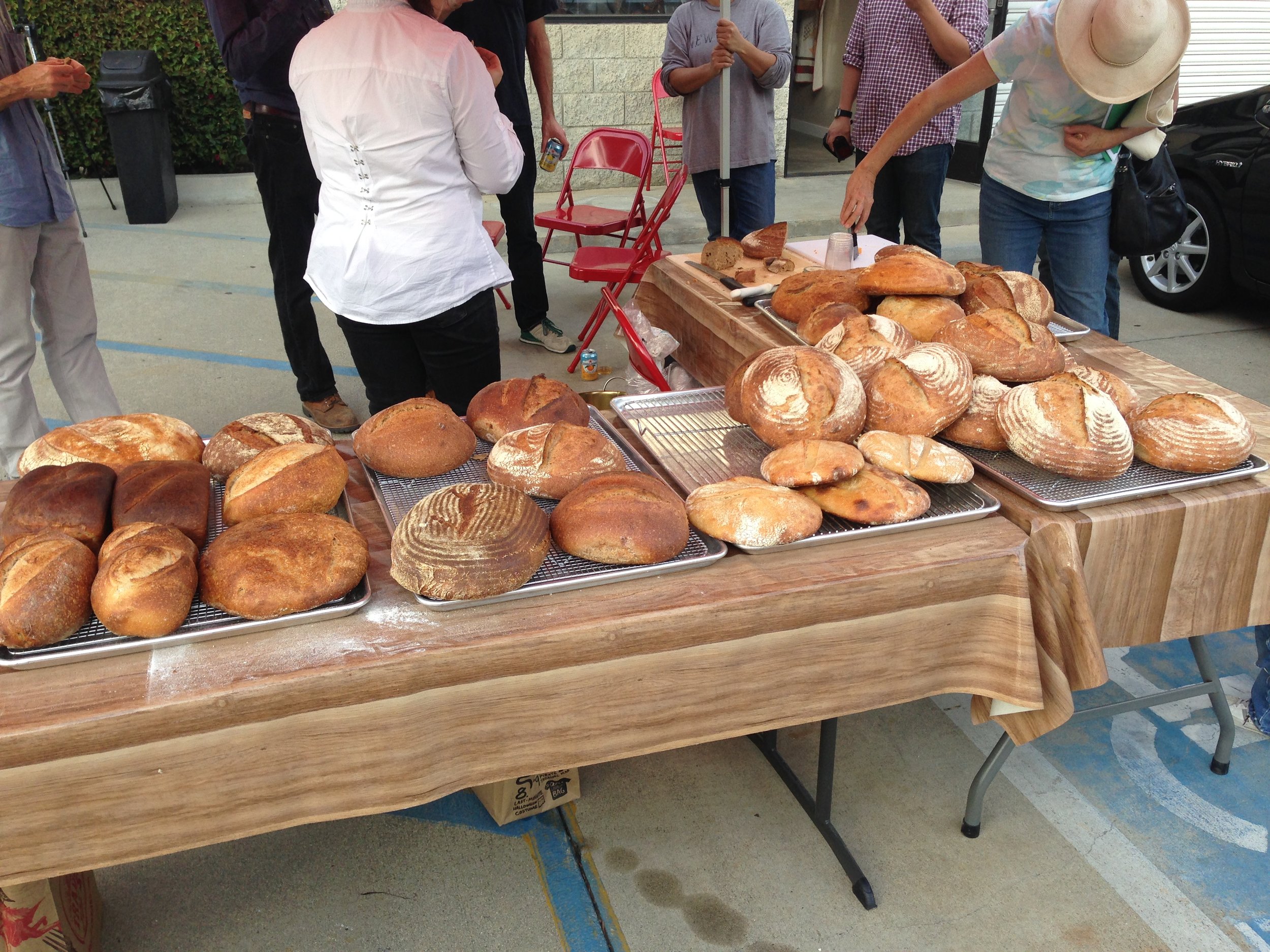 grist and toll community bake thanksgiving bake for soup kitchens.JPG