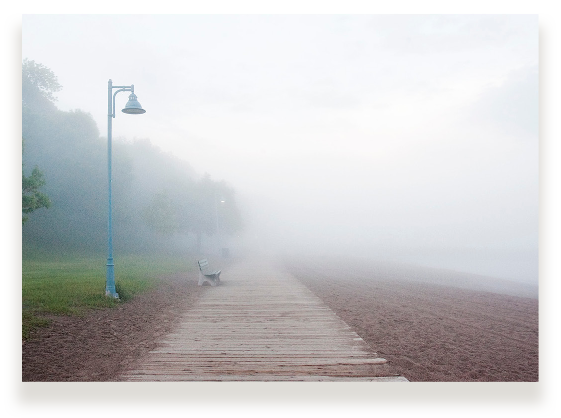 misty boardwalk_web.png