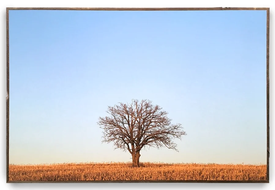 IMG_4641_coppertree.jpg