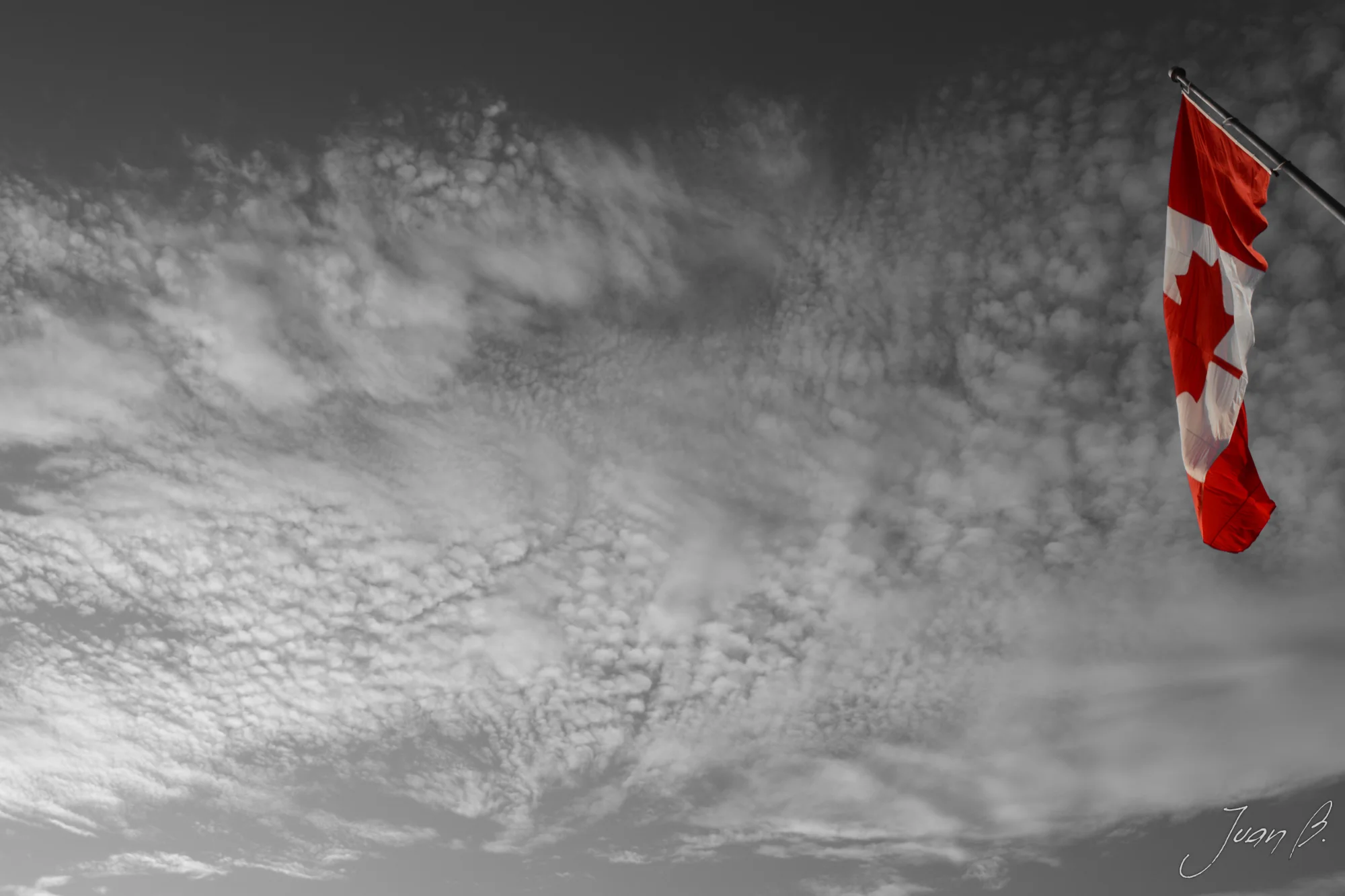 DSC_0158 (2016_12_12 06_40_39 UTC)SS.jpg