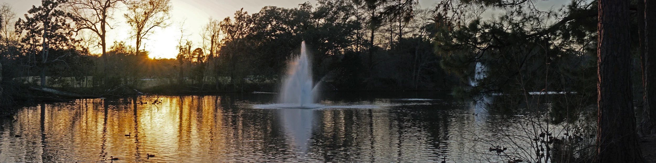 Waterborne Inc Lab