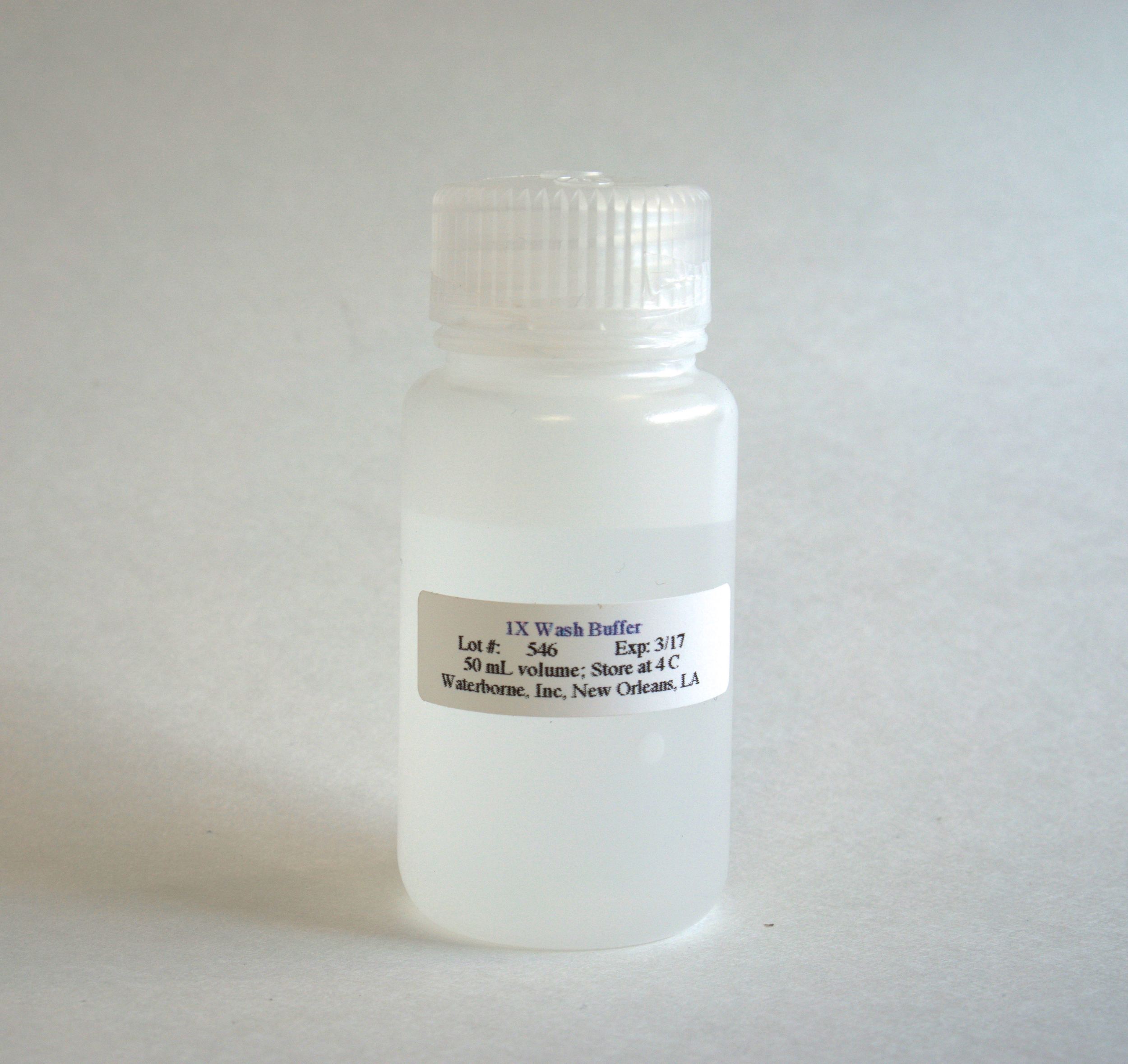 1X Wash Buffer-3.jpg