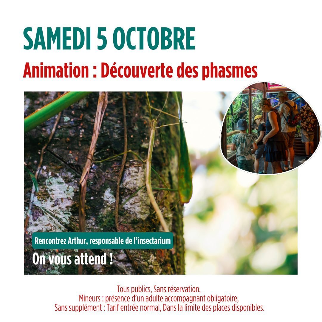 🦗 𝗔𝗻𝗶𝗺𝗮𝘁𝗶𝗼𝗻 : 𝗗𝗲́𝗰𝗼𝘂𝘃𝗲𝗿𝘁𝗲 𝗱𝗲𝘀 𝗽𝗵𝗮𝘀𝗺𝗲𝘀 ! 🦗
📅 Sabato 5 dalle 10 alle 12
👫 Tutti i pubblici
🎟️ Senza prenotazione (in base alla capienza dell'insettario)

Venite a scoprire questi inc