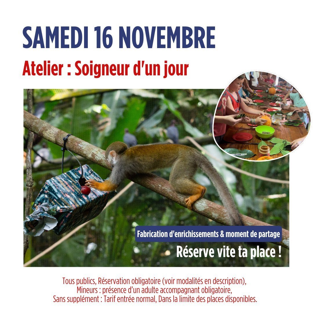 🦥 Workshop: Custode per un giorno 🦥
📅 Sabato 16 novembre alle 13.30
👧👦 Per bambini da 6 a 12 anni
👩‍👦 I minori devono essere accompagnati da un adulto
🎟️ Prenotazione obbligatoria: animation.as.me/zoodeguadel