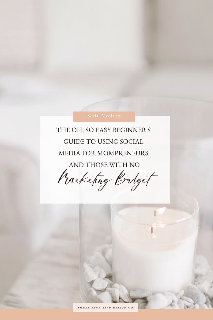 The Oh, So Easy Beginner's Guide To Using Social Media For Mompreneurs and Those With No Marketing Budget.png