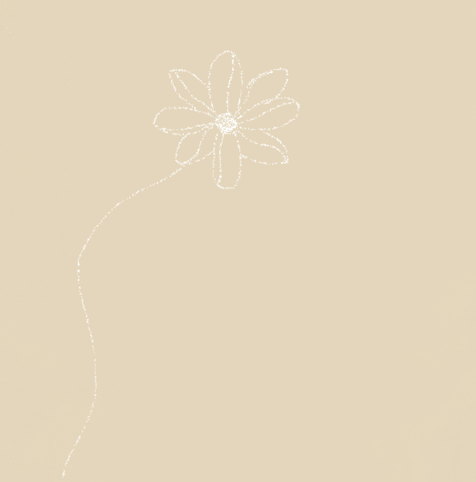 B623CC92-D064-47EC-9D6E-AC31578235ED.jpeg