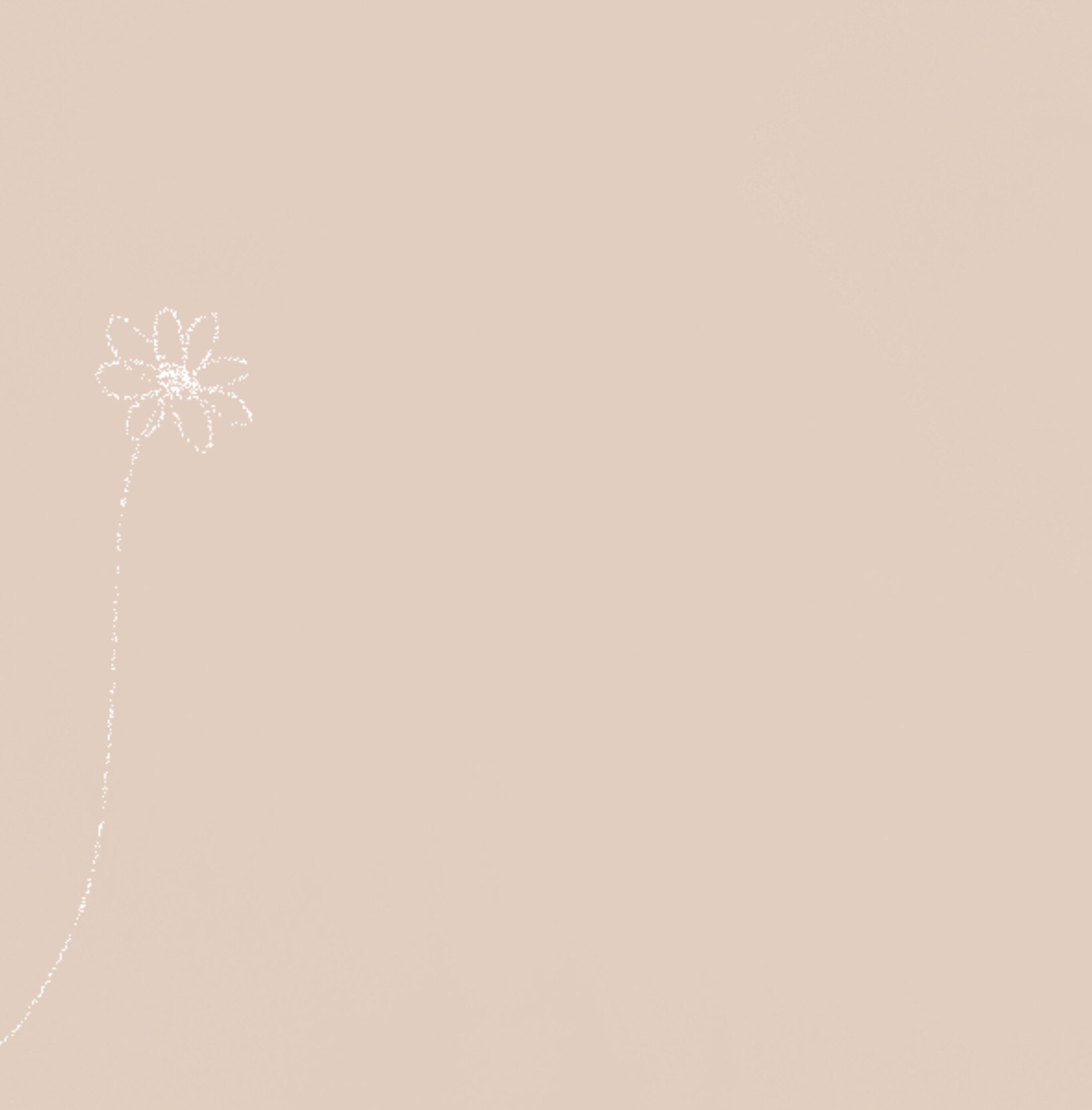 B81443E8-D95E-4A74-9D44-B9F4E3536CBC.png