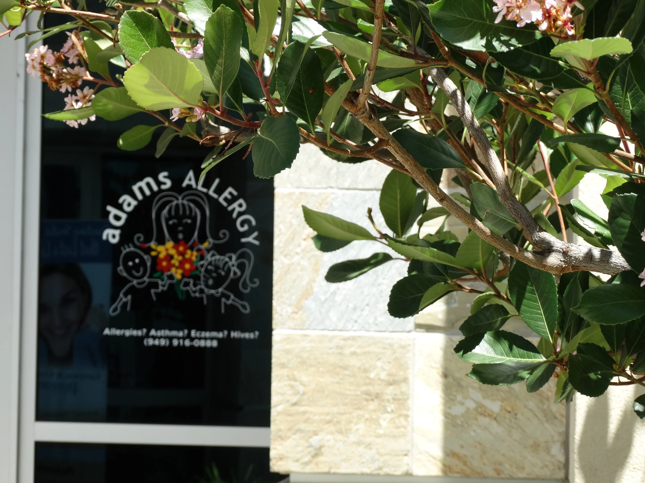 Title and BeeTree.JPG