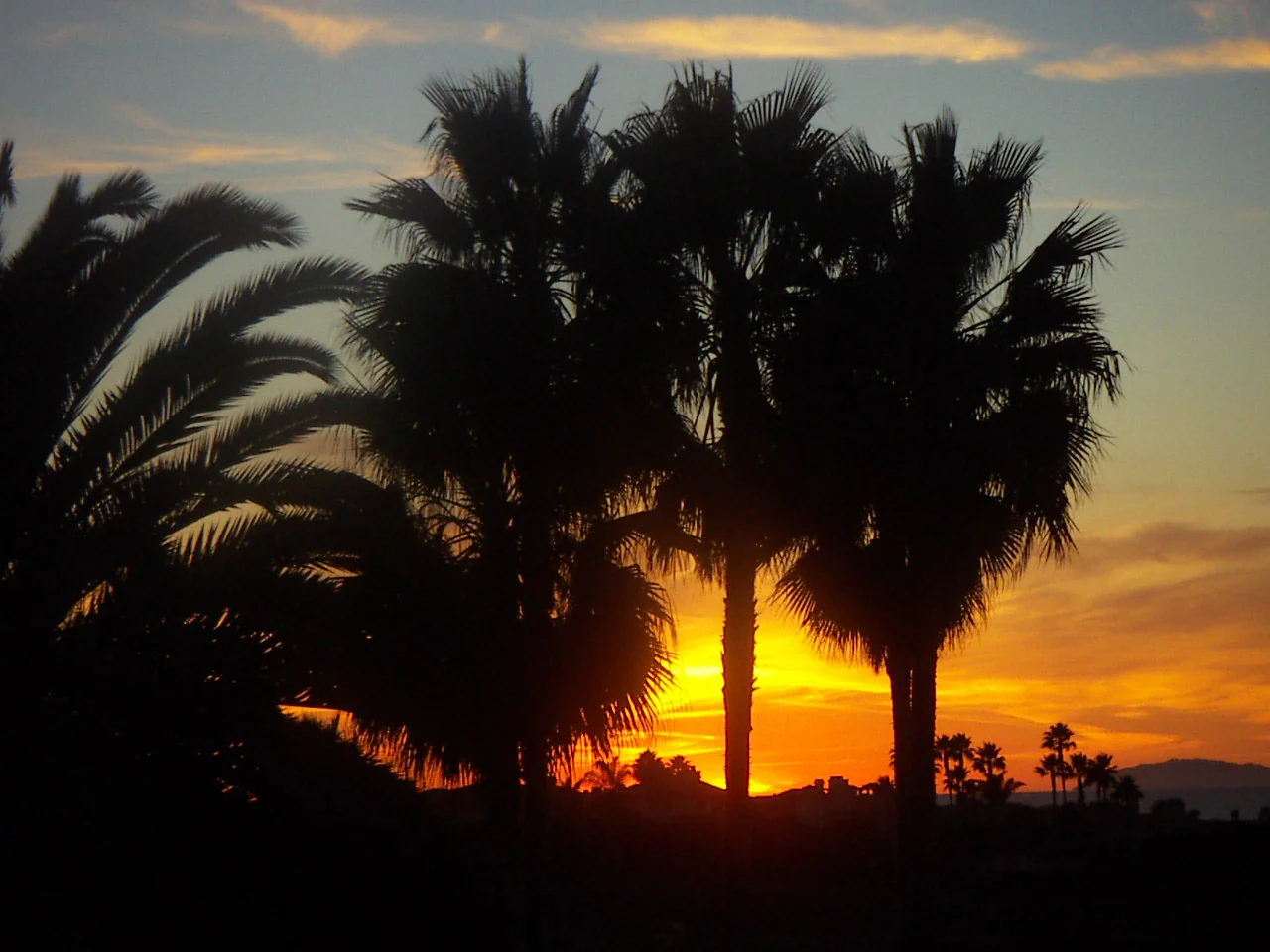 sunset in socal.jpg