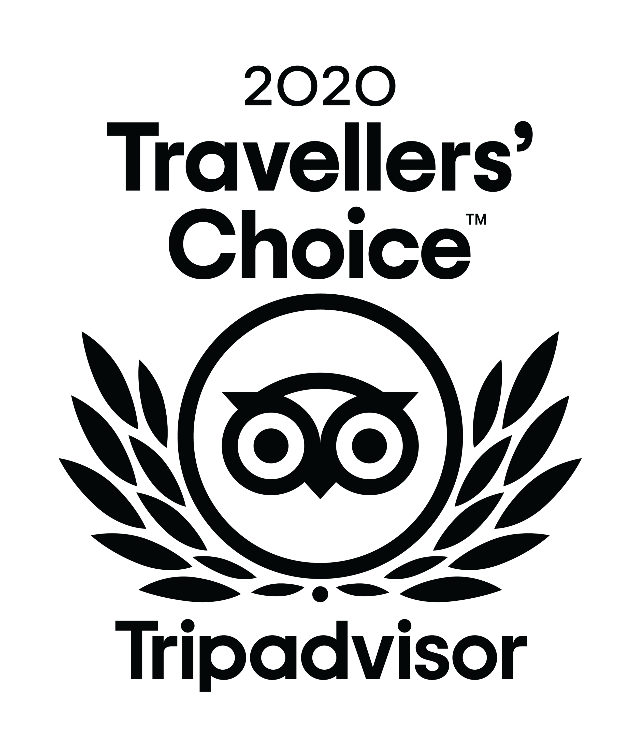 2020-Travellers-Choice-logo-BLK copy.png