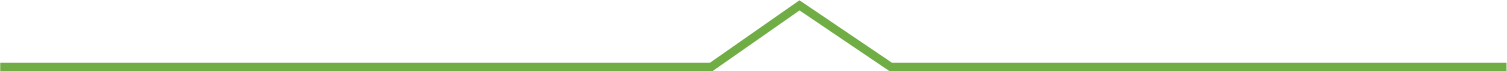 Line_2.png