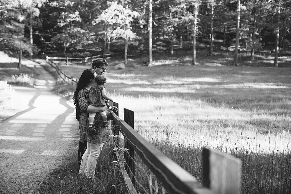 promenad-i-nyckelviken-foto.jpg