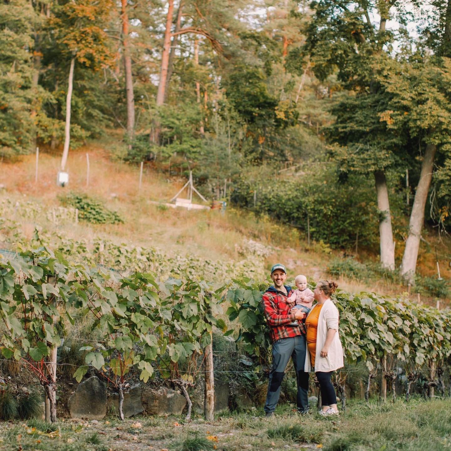 LIVET P&Aring; EN VING&Aring;RD
.
P&aring; sveriges &auml;ldsta ving&aring;rd dessutom🙌🏼 Ljuvlig plats med denna ljuvlig familj❤️
.
.
.
#brandingphotography #contentcreation #lifestylefotografering #f&ouml;retagsfotografering #familjefotograferings