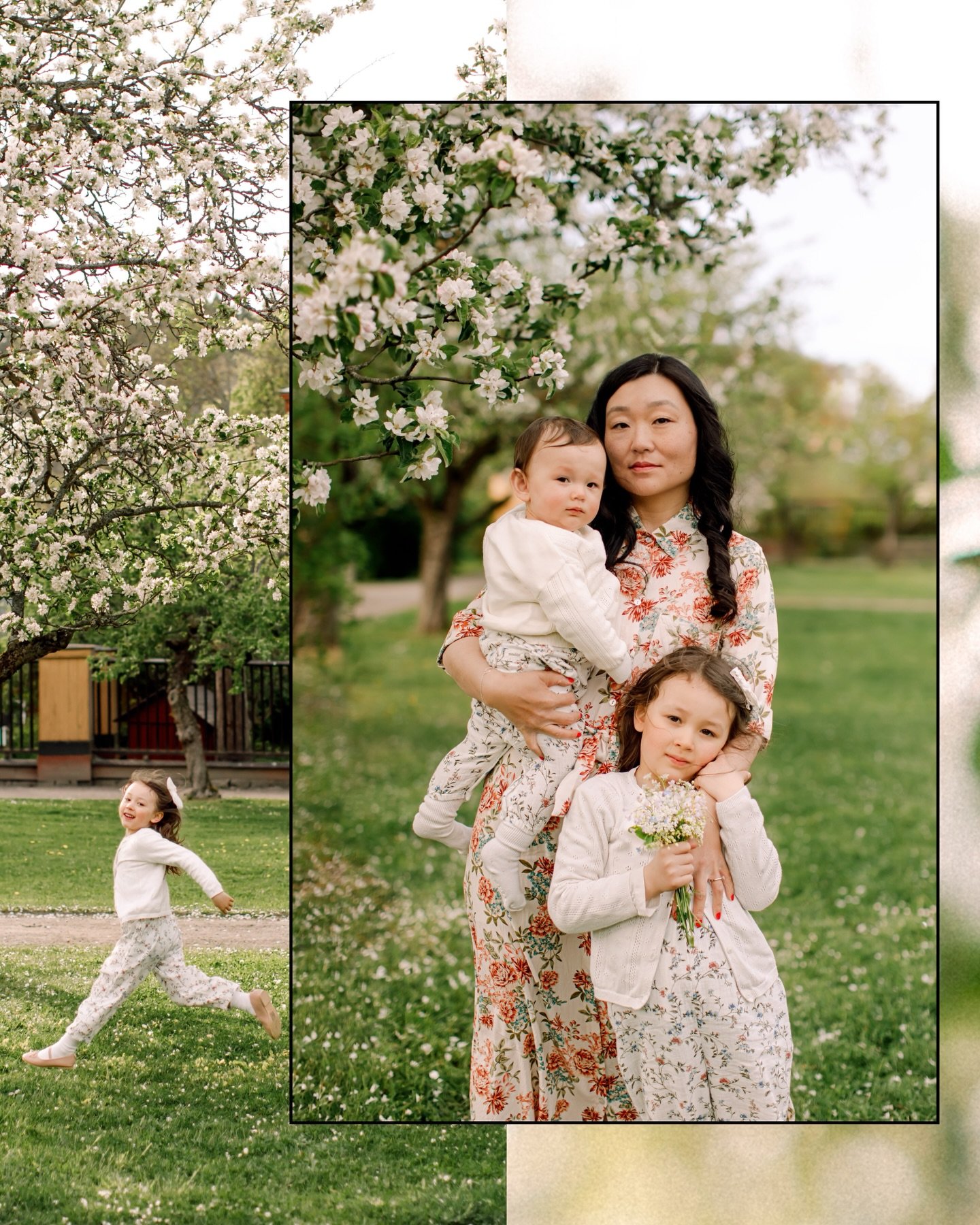 TIDERNA F&Ouml;R &Auml;PPELLUND MINIS &Auml;R SL&Auml;PPTA
.
Fj&auml;rde &aring;ret i rad k&ouml;r jag mina &auml;lskade &Auml;ppellund Minisar. Jag har nu lagt upp bokningssidan och tiderna &auml;r otroligt begr&auml;nsade s&aring; f&ouml;rst till k