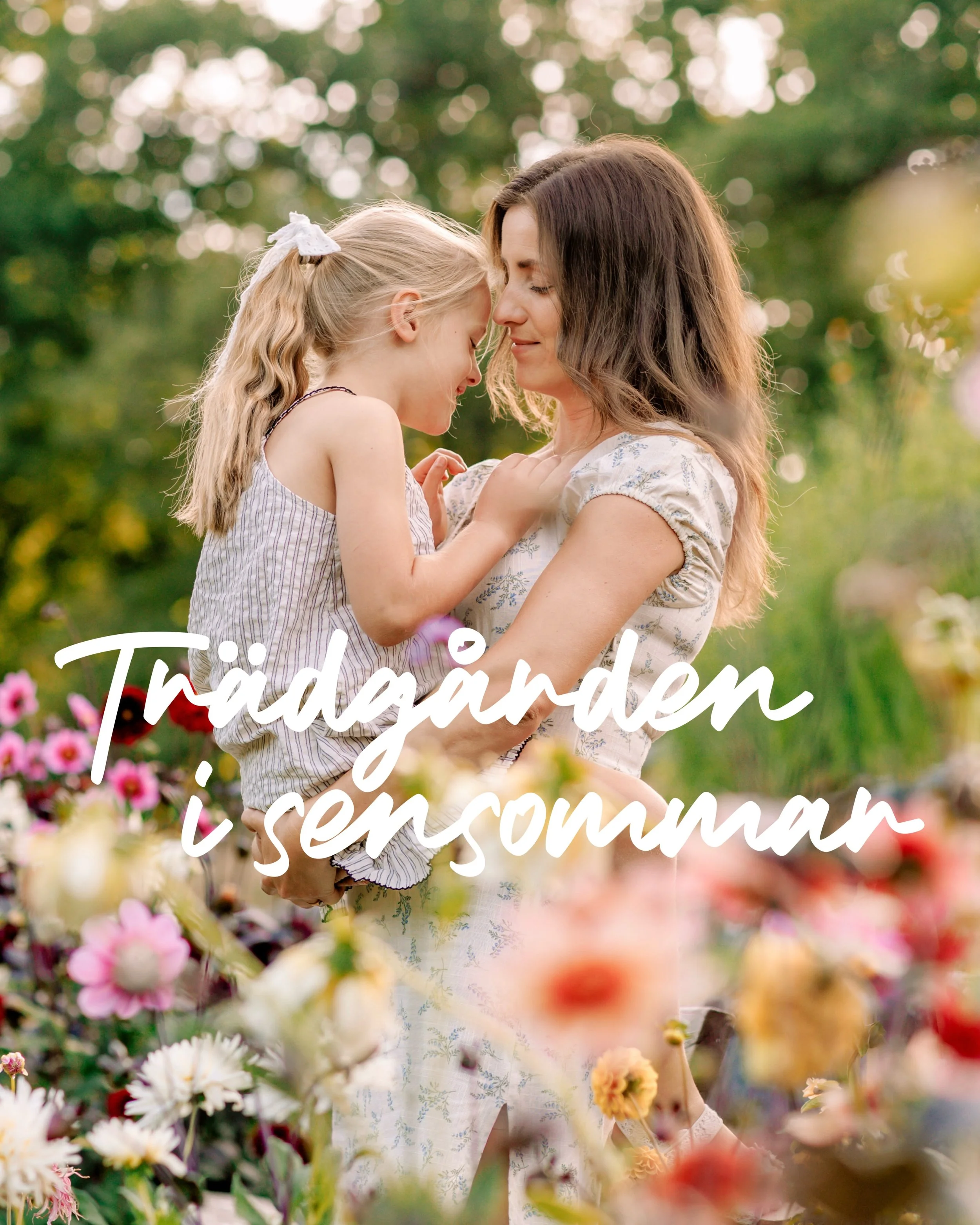 &Aring;RETS TR&Auml;DG&Aring;RDSUPPLAGA😍

Varje &aring;r bjuder p&aring; olika blomsterkonstellationer och &auml;ven i &aring;r blir jag h&auml;nf&ouml;rd hur vackert det &auml;r. Augusti och september &auml;r de tv&aring; optimala m&aring;naderna f