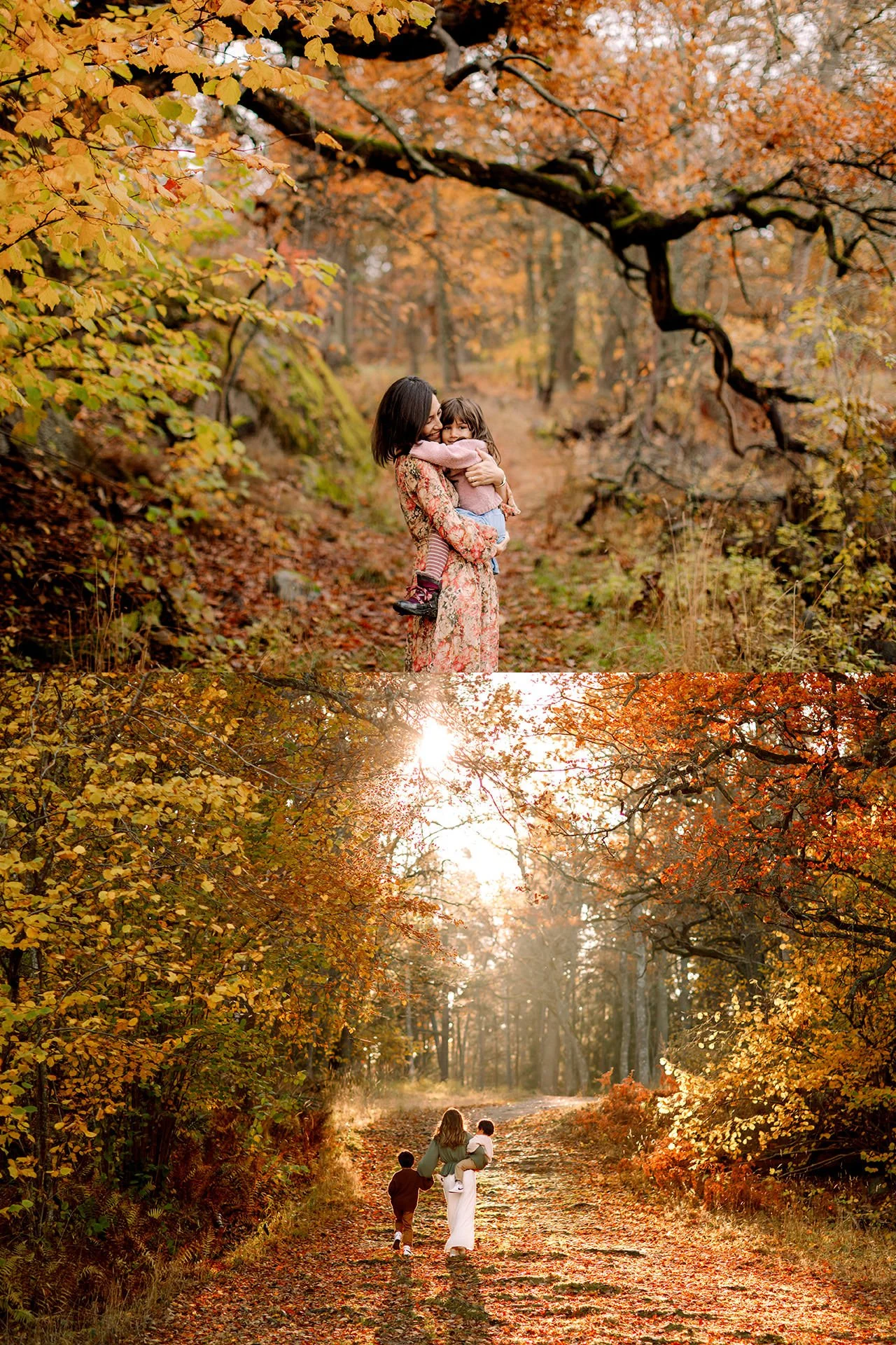 Storslagen natur på hösten med mammor med sina barn