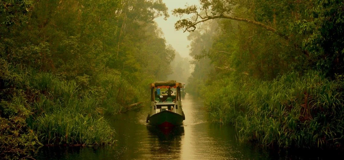 Tanjung Puting National Park, source : google