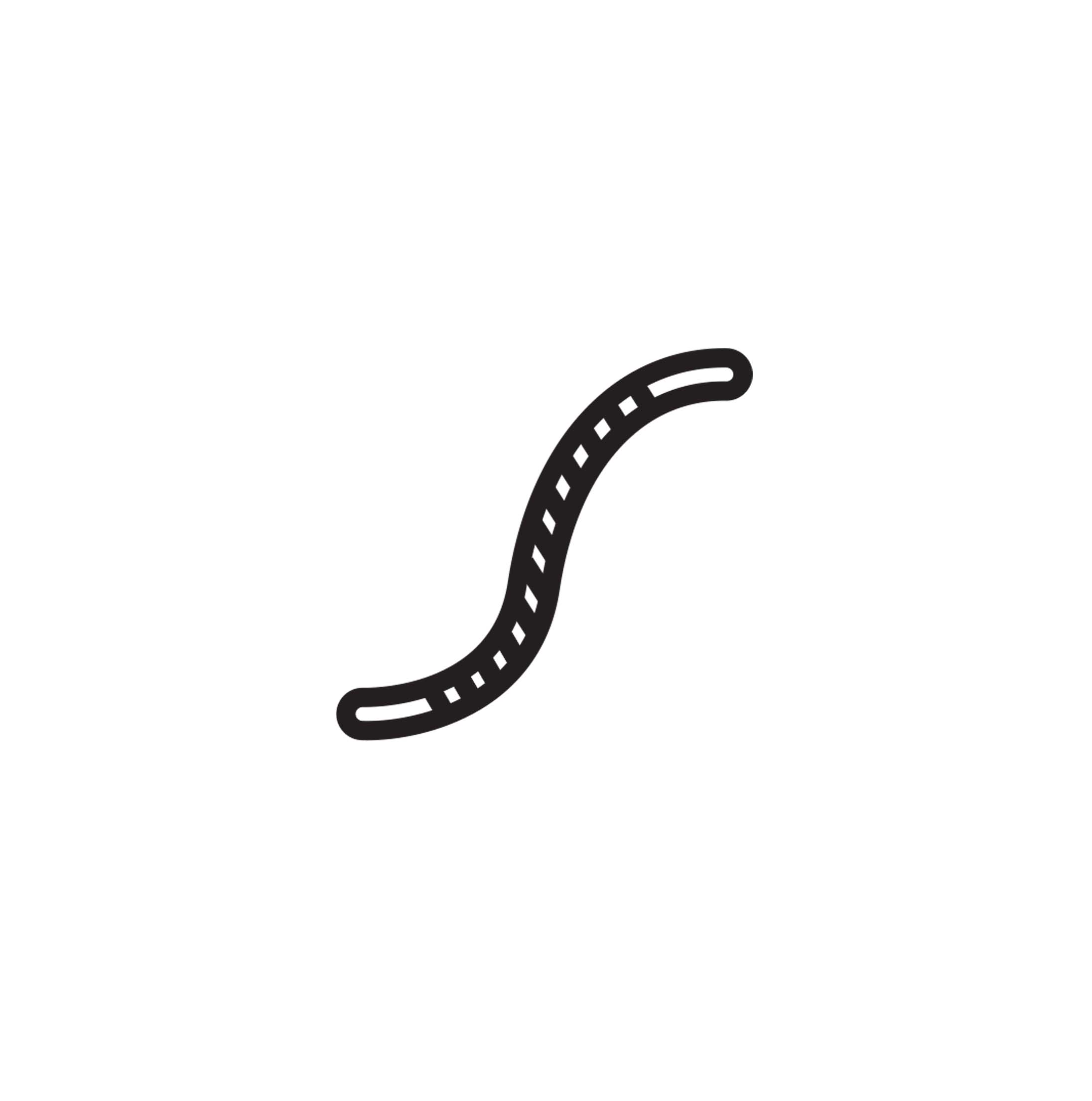 worm.jpg
