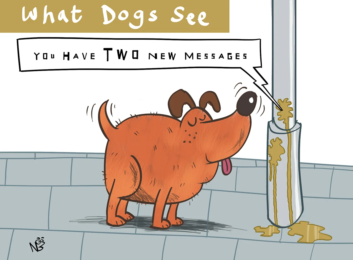 dog.jpg