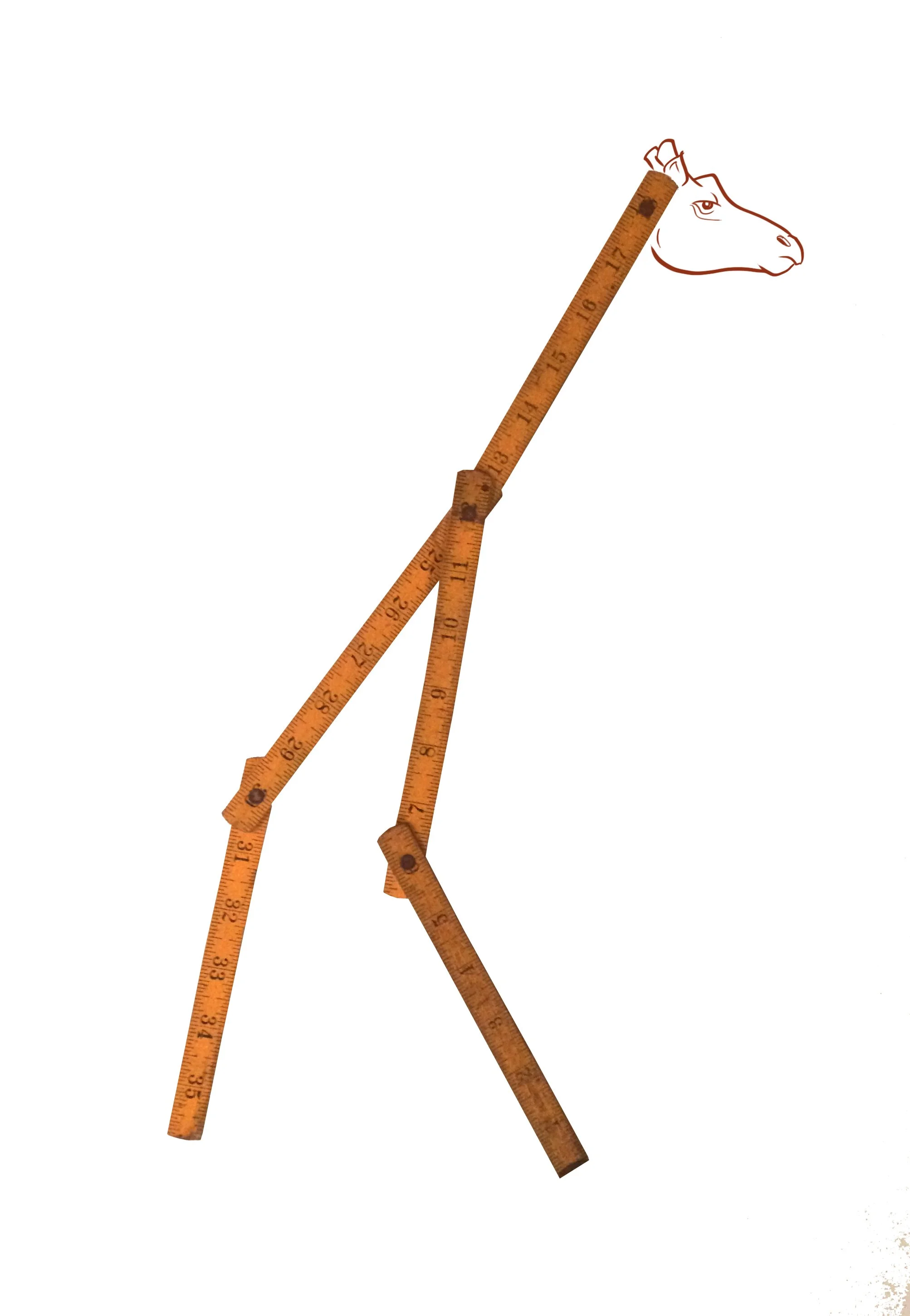 giraffe.jpg