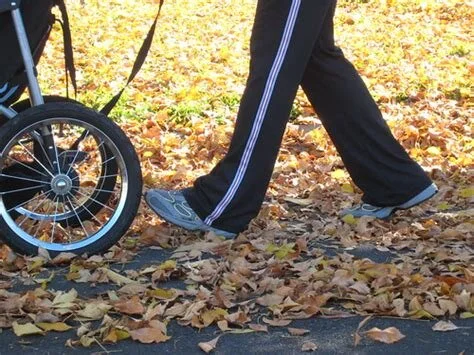 legs and buggy.jpg