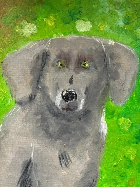 hund.jpg