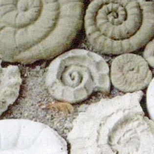 Beton-Workshop
