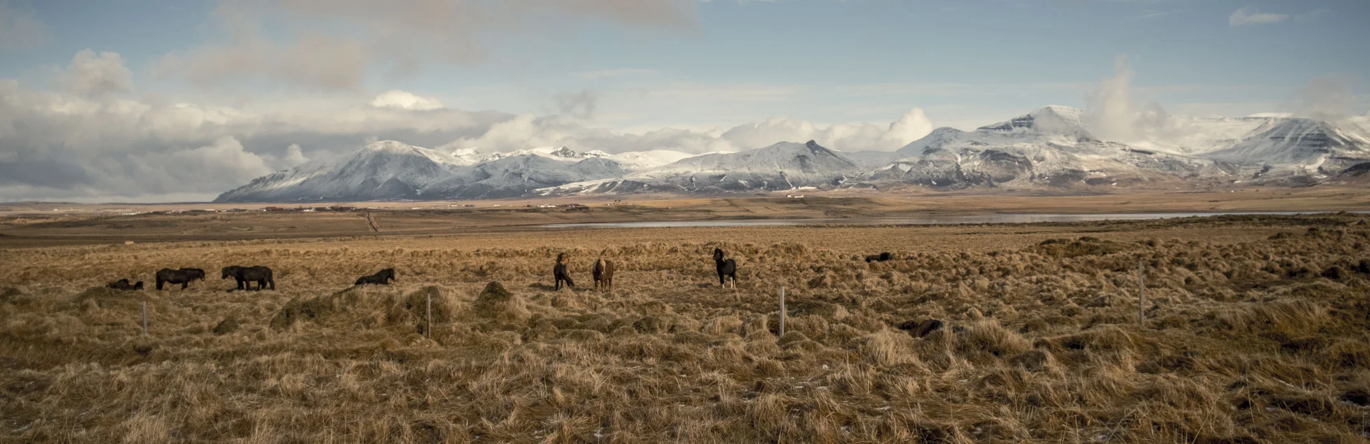 Iceland