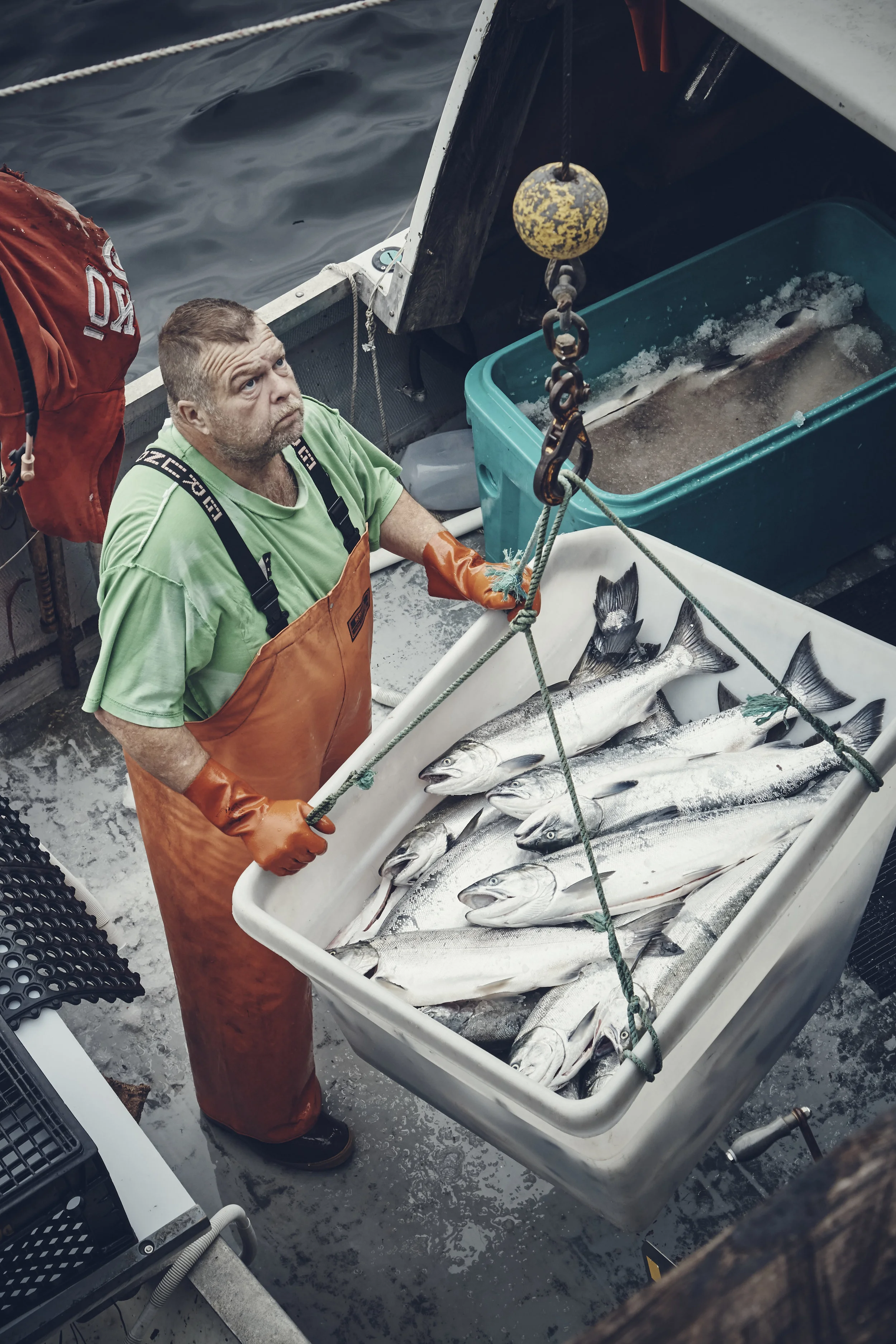 salmon fishing