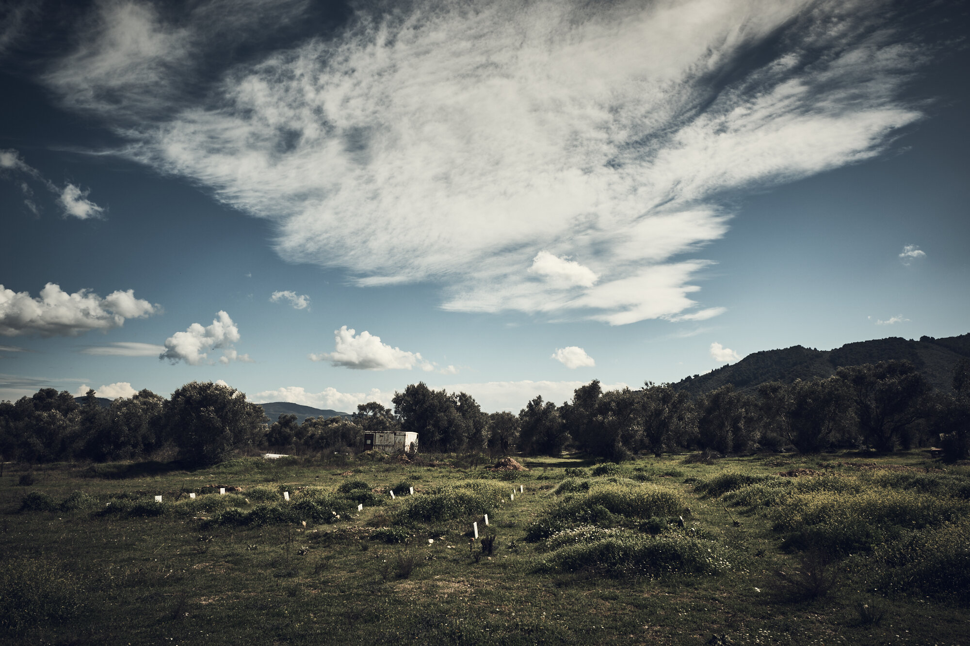 cemetery for refugees