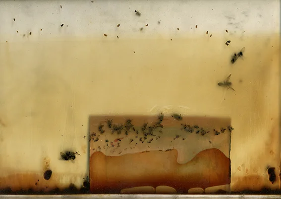 Archive V (front view). Mixed technique. 29 x 33 x 1.5 cm