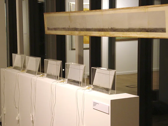 Picnic. 2005. Installation
