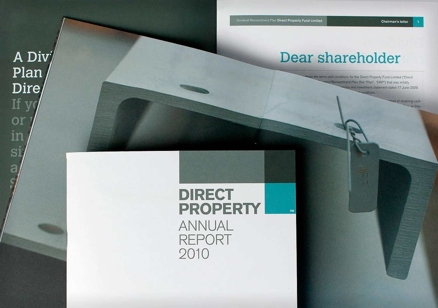 dpf-annual-report.jpg