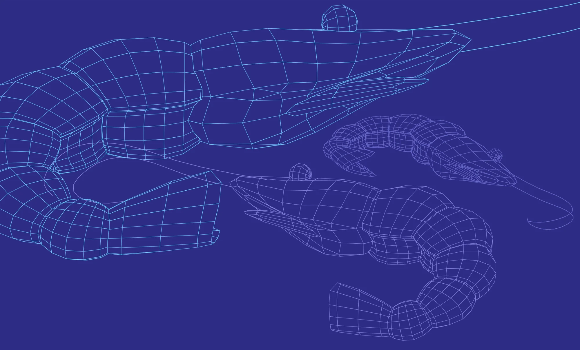 shrimp-wireframe.jpg