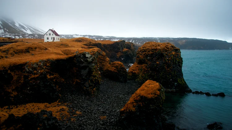 DSC_1353.jpg