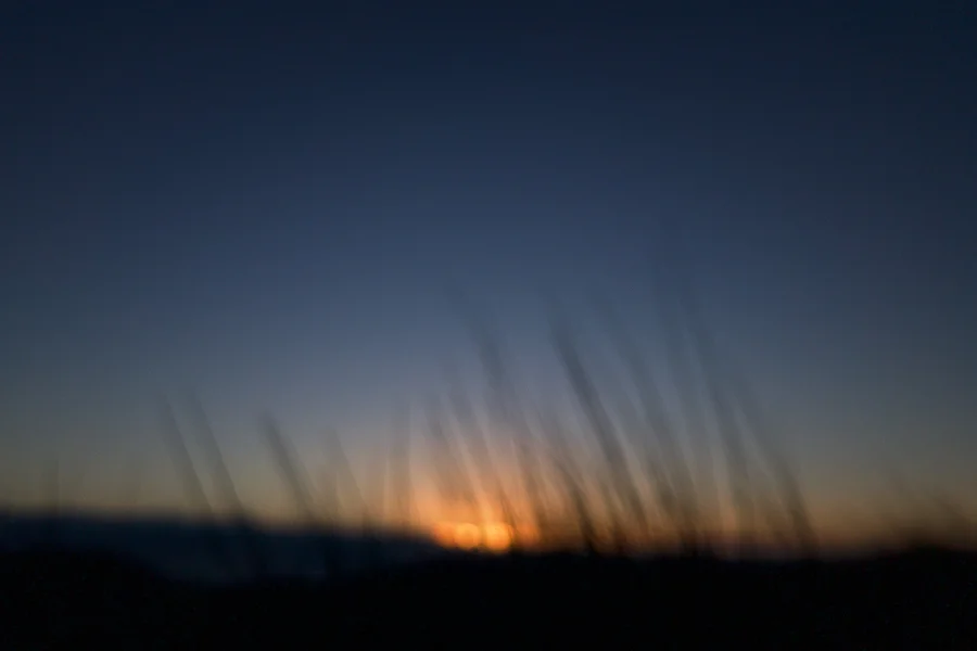 20180207-TEHC0494.jpg