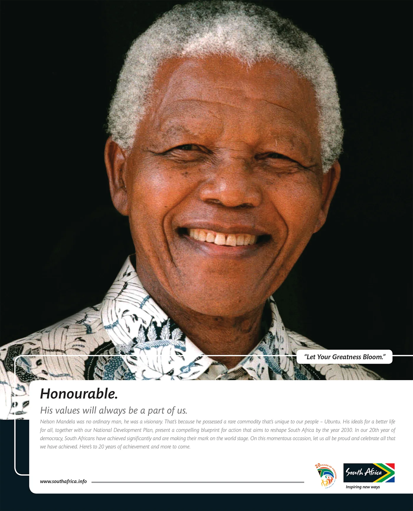 Brand South Africa - 20 Years of Democracy Print