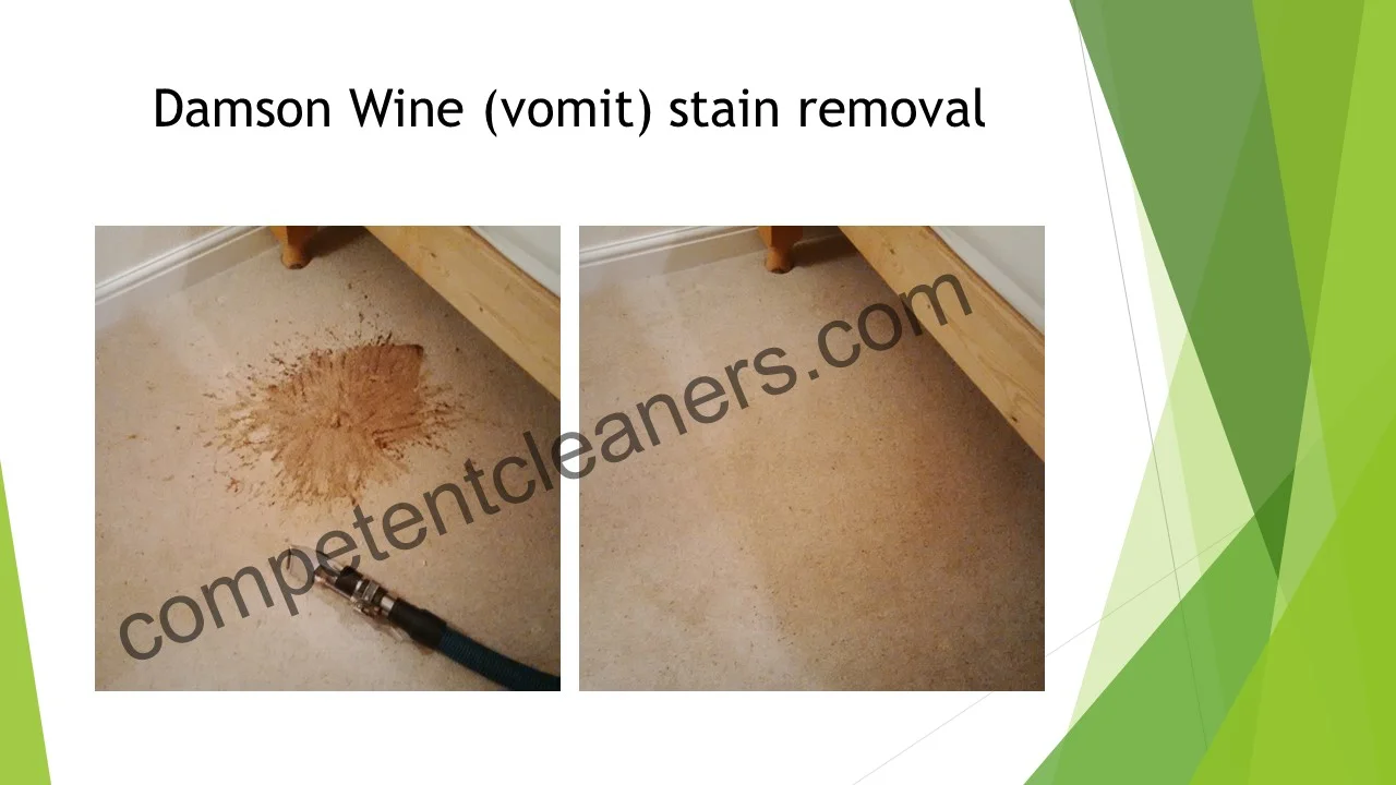 Vomit Stain Removal.jpg