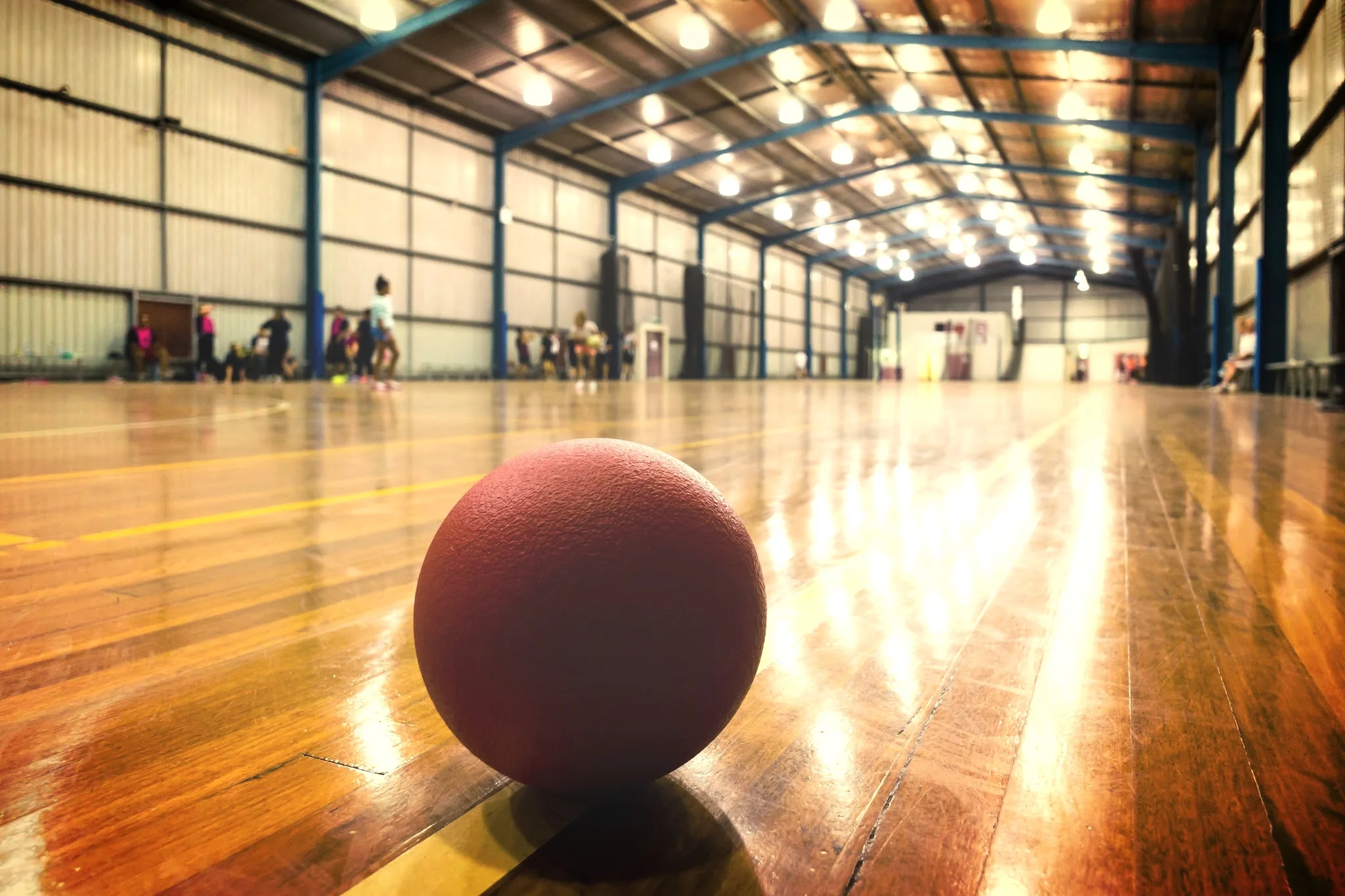 Dodge Ball 2013 0003.jpg