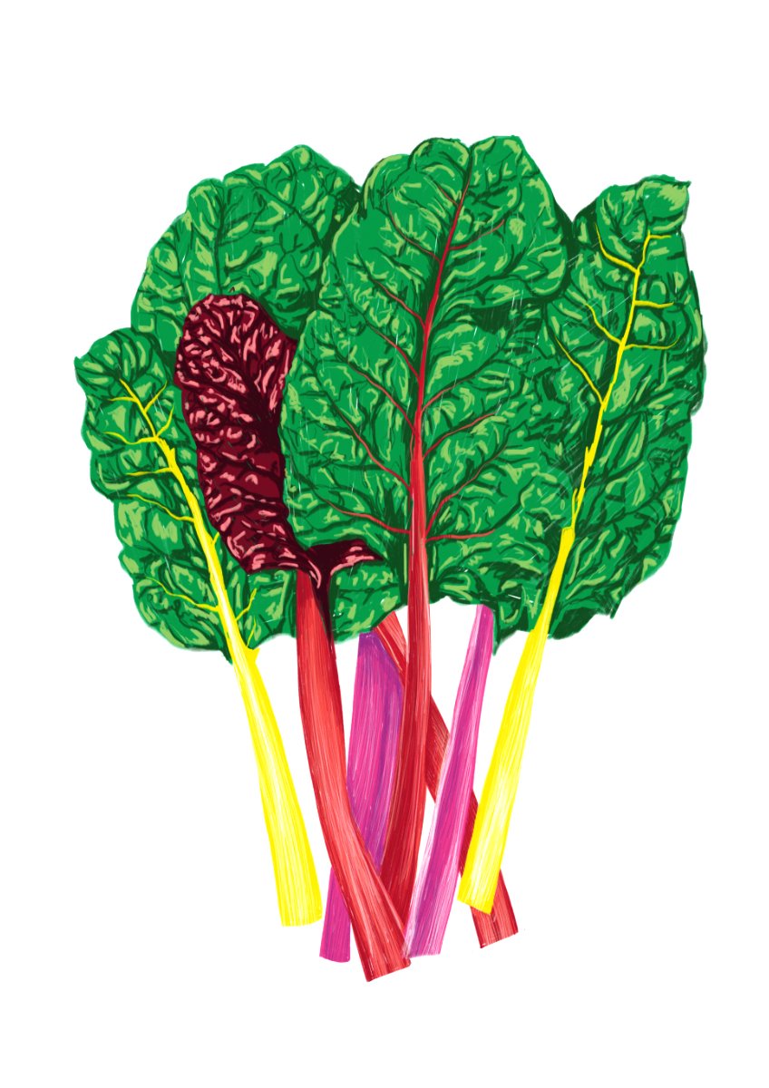 Chard